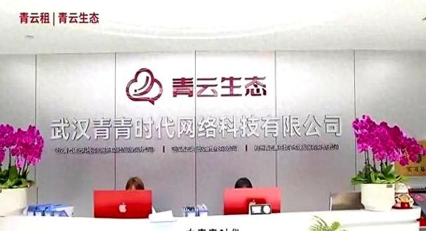 青云租出问题,美橙回收退租,手机流向河南村庄