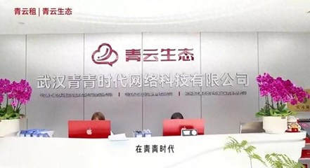 "青云租"爆雷员工揭内幕:每个员工每月需投资30台手机,11万台集中流向两个村庄